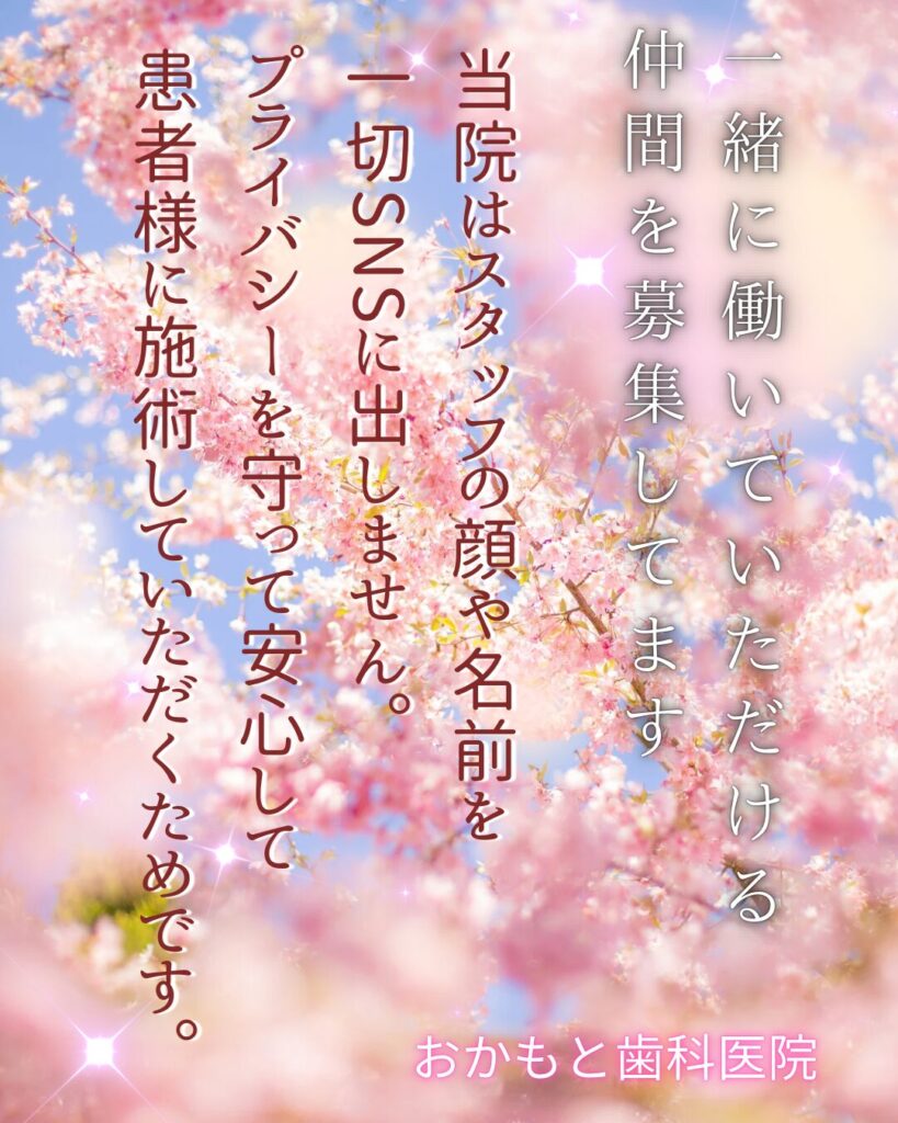 一緒に働きませんか